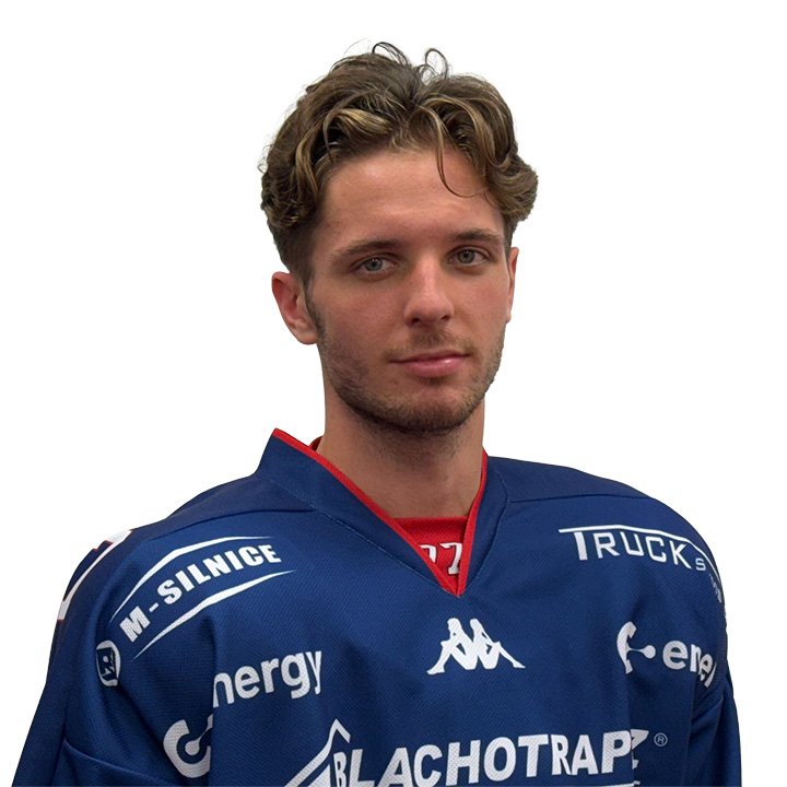 josef teply #